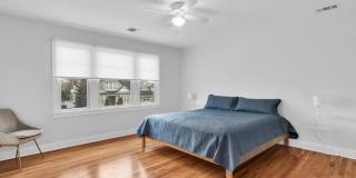 7 Anderson Street Gallery 23