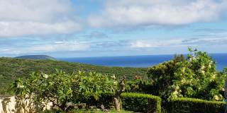 1827 Halekoa Dr Gallery 12