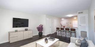 Monon Living Gallery 21
