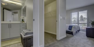 Spruce Gallery 22