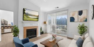 Preston View Gallery 7