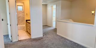 Incredible 4 Bed 3 Bath Home In Sage Estates!!! Gallery 39