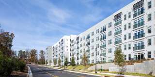 Vine North Hills Gallery 34