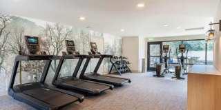Haven Apartment Homes Haven Apartment Homes Gallery 26