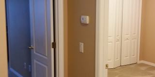 557 Climbing Ivy Ct Gallery 10
