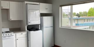 The Tower Bachelor Gallery 1