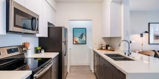 Arioso Gallery 1