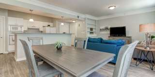 The Saulet Gallery 4