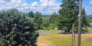 Olympic View Gallery 4