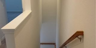 2951 Citrus Street Gallery 17