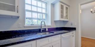 Sunny & Renovated 2BR 1BA in NW DC McLean Gardens Oasis! Gallery 5