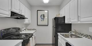 The Modern Gallery 7