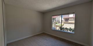 9764 Louise Drive 9764 Louise Drive Gallery 16