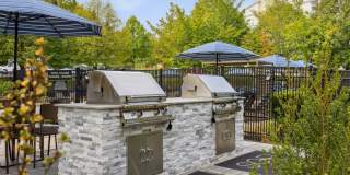 Sofi Danvers Gallery 48