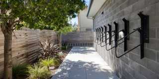 Cerrito Vista Gallery 27