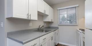 The Maples Gallery 12