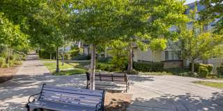 Sofi at Cedar Mill Gallery 45