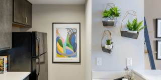 The Cosmopolitan Gallery 15