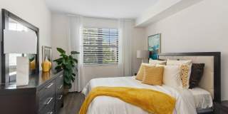 The Point at Lakeside Gallery 6