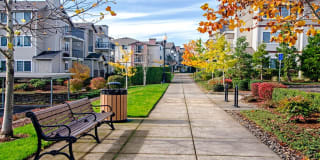 Sofi at Cedar Mill Gallery 29