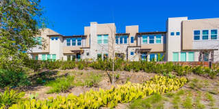 Mira Mesa 3 Bedroom Townhome! Gallery 34