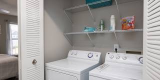 Wood Terrace Gallery 12