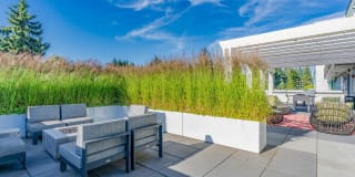 Edition Apartments Gallery 35