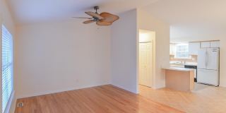 61 ABBYSHIRE Gallery 7