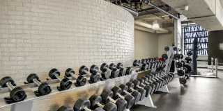 Allure Hermann Park Gallery 36