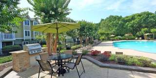 Steeplechase Gallery 8