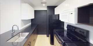 Ambassador Gallery 35