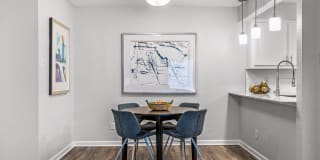 Amp at the Grid Gallery 17