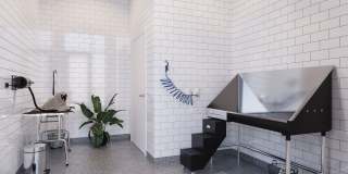 Alpine Flats Gallery 25