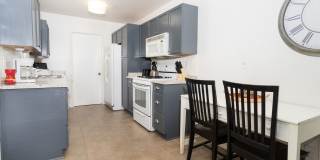 Coming Soon! Gallery 1