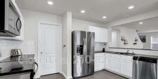 667 Anthem Ln Gallery 11