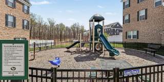 10878 FOXTROT Circle Gallery 41