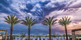 Amavi Aster Ridge Gallery 9