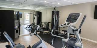 The Boardwalk Gallery 5