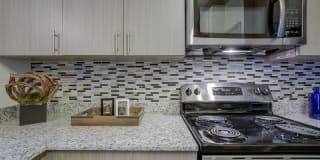 The Emerson Apartments Gallery 30