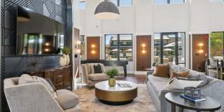 The Liliana Gallery 10