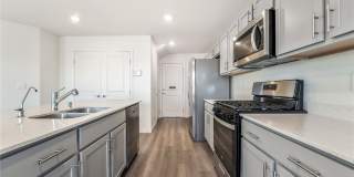 3426 La Cura Avenue Gallery 7