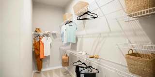 Alta Wren Gallery 10