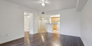 Lyme Stone Ranch Gallery 17