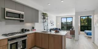 Alta Potrero Gallery 16