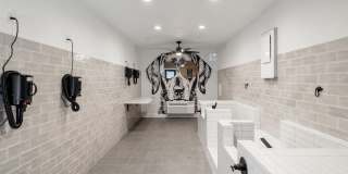 The Lola The Lola Gallery 18