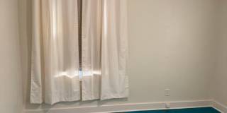 Charming 2 bedroom 1 bath home on large corner lot in desirable part of Springfield Gallery 16
