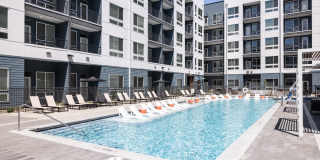 RYE Central Park Gallery 2