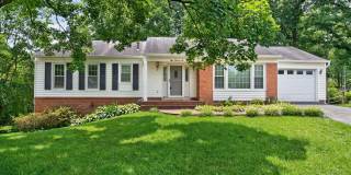 8006 LADY LEWIS CT Gallery 1