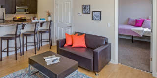 Irish Flats Gallery 12