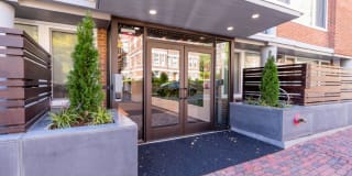 334 Harvard Street Trust Gallery 6